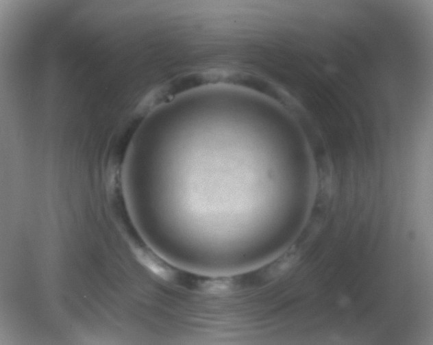 X0000082940574200702011309