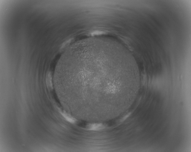 X0000082940575200702011309
