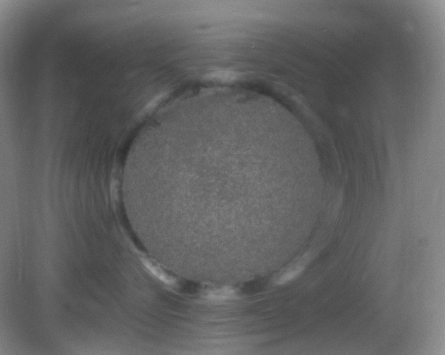 X0000082940576200702011309