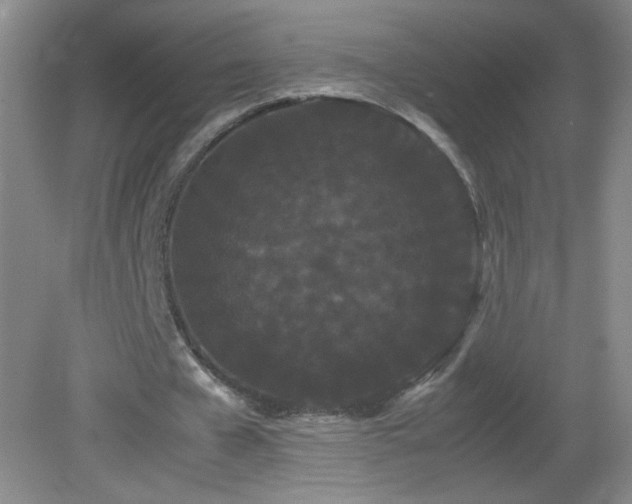 X0000082940577200702011308