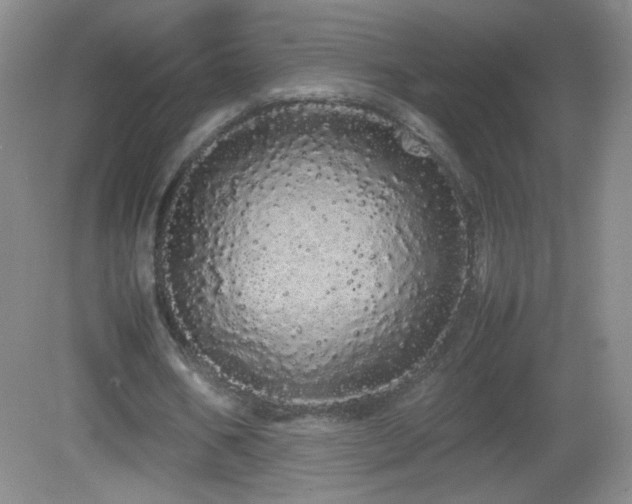 X0000082940578200702011308