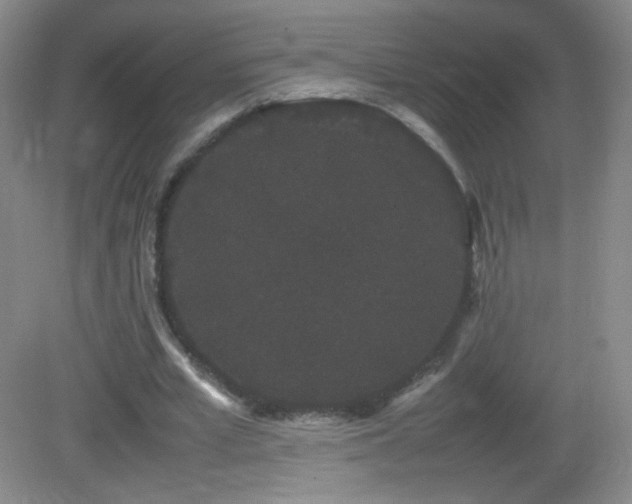X0000082940581200702011308