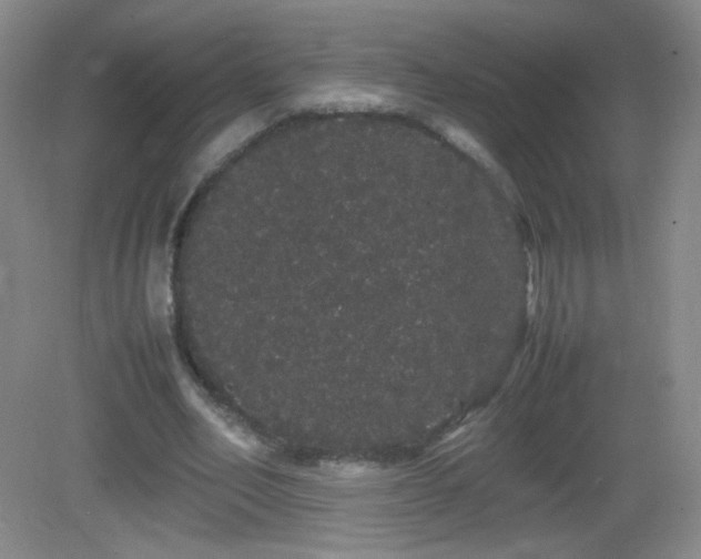 X0000082940582200702011308