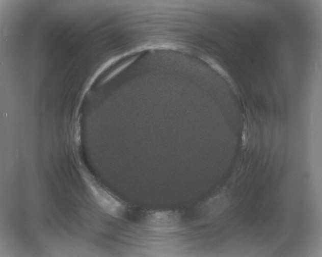 X0000082940584200702011308