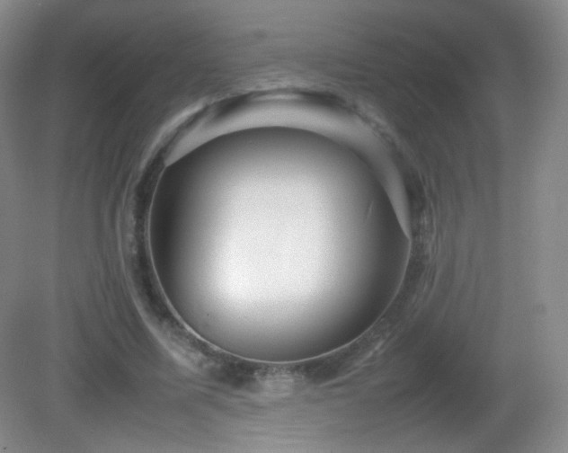 X0000082940587200702011308