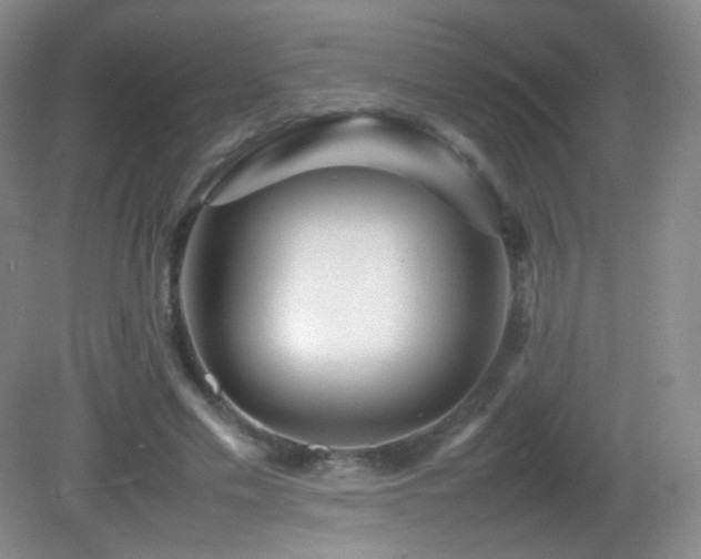 X0000082940589200702011308