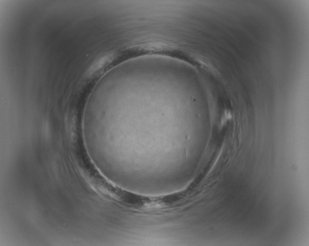 X0000082940591200702011308