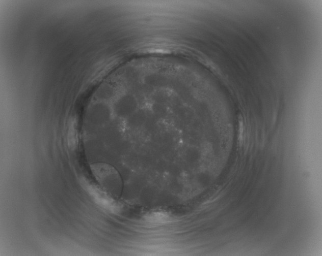 X0000082940594200702011308