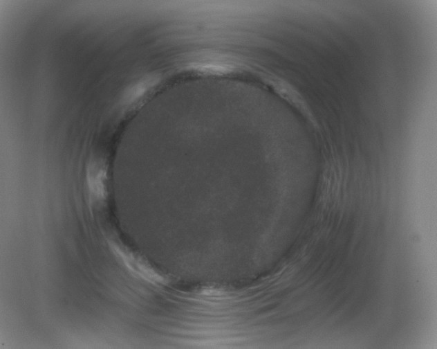 X0000082940596200702011308