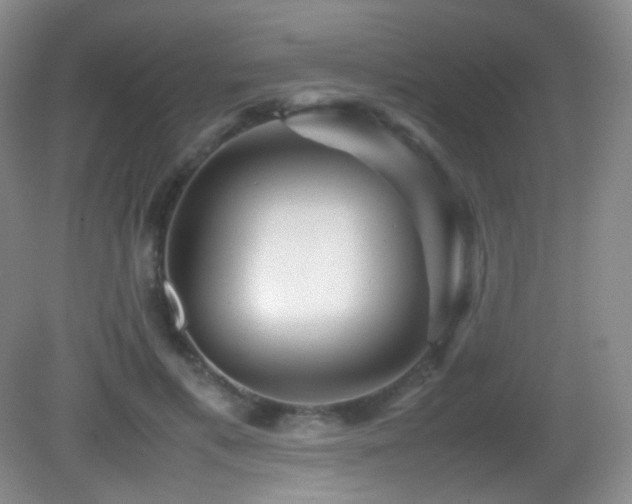 X0000082940597200702011308