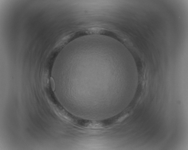 X0000082940599200702011308