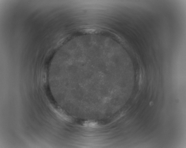 X0000082940602200702011307