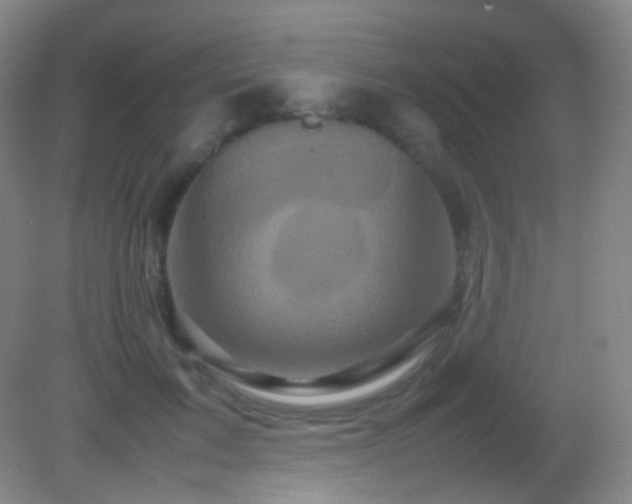 X0000082940603200702011307