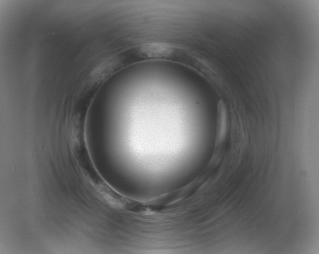 X0000082940604200702011307