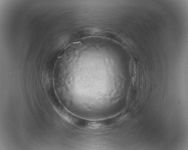 X0000082940607200702011307