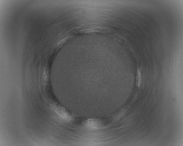 X0000082940608200702011307
