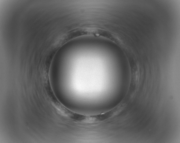 X0000082940609200702011307