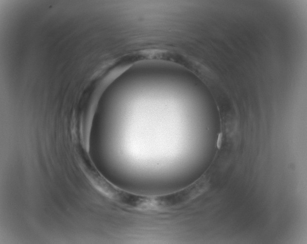 X0000082940611200702011307