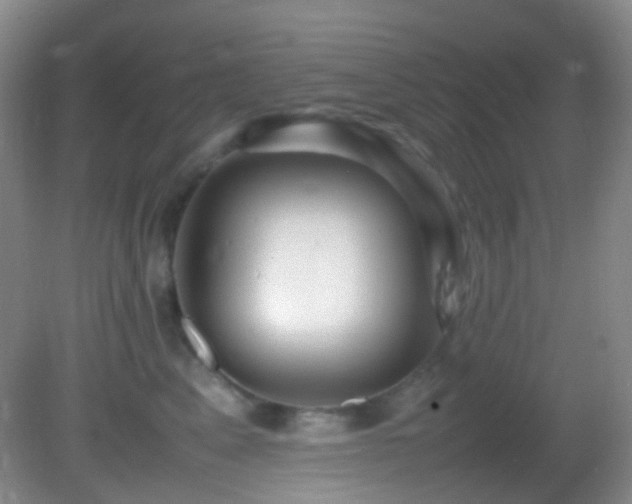 X0000082940617200702011307