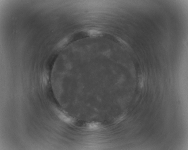 X0000082940618200702011307