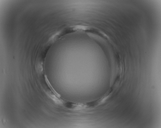 X0000082940621200702011307