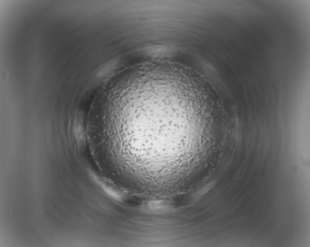 X0000082940622200702011307