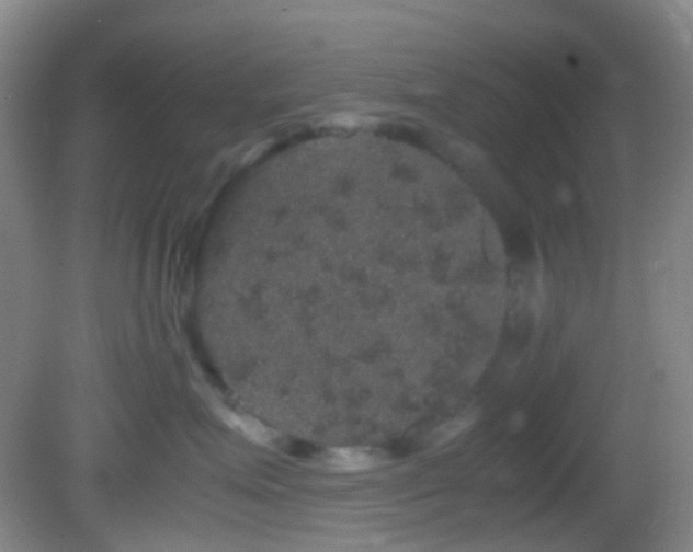 X0000082940623200702011307
