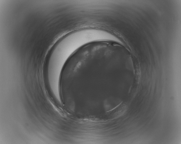 X0000082940626200702011306