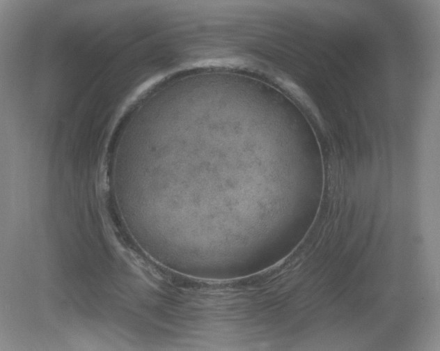 X0000082940628200702011306
