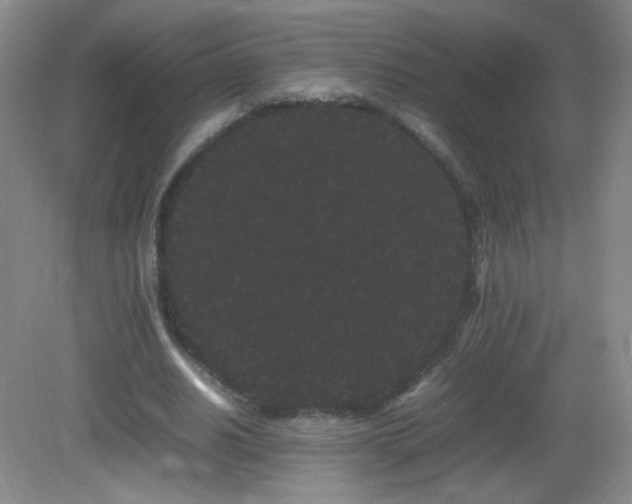 X0000082940630200702011306
