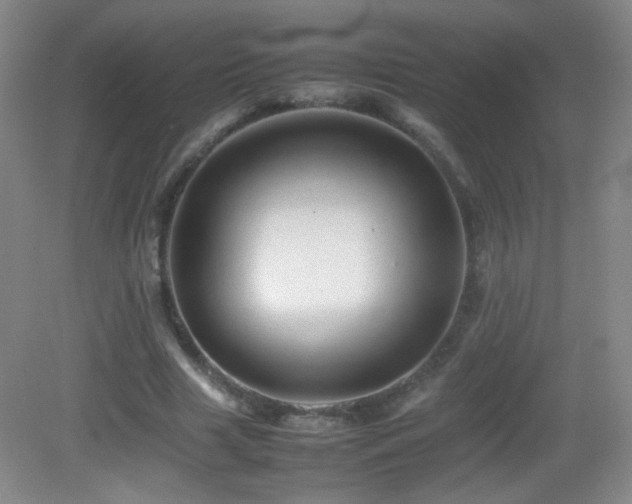 X0000082940633200702011306