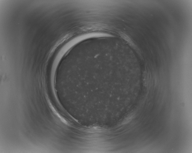 X0000082940634200702011306