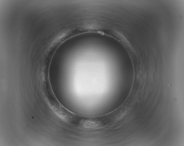 X0000082940635200702011306