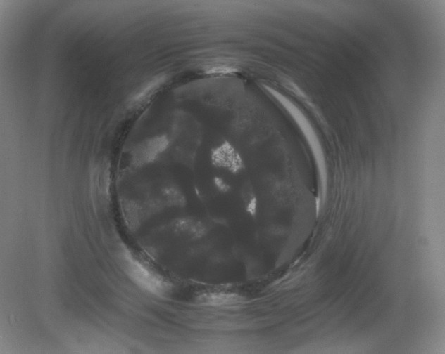 X0000082940637200702011306