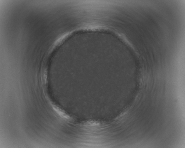X0000082940640200702011307