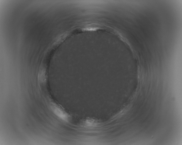 X0000082940641200702011307