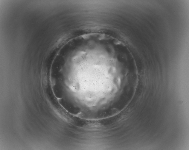 X0000082940642200702011307