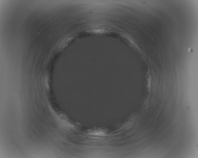 X0000082940643200702011307