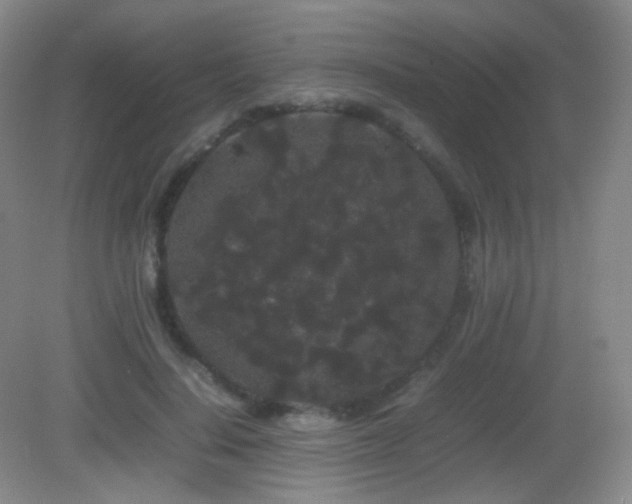 X0000082940644200702011307