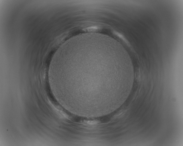 X0000082940645200702011307