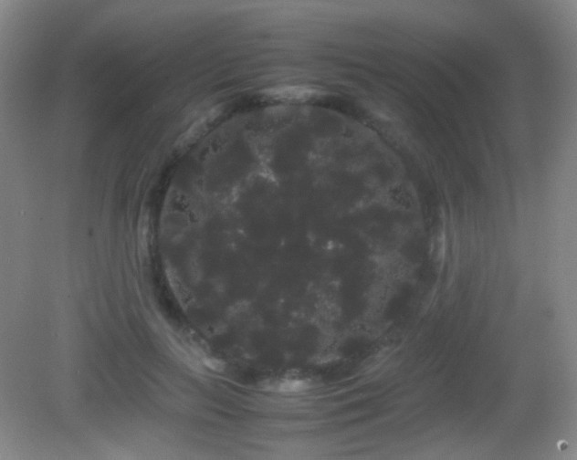 X0000082940647200702011307