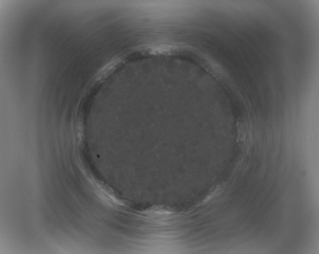 X0000082940648200702011307