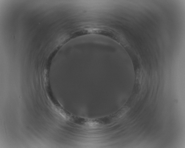 X0000082940650200702011307