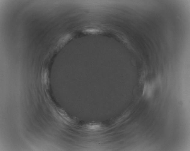 X0000082940651200702011307