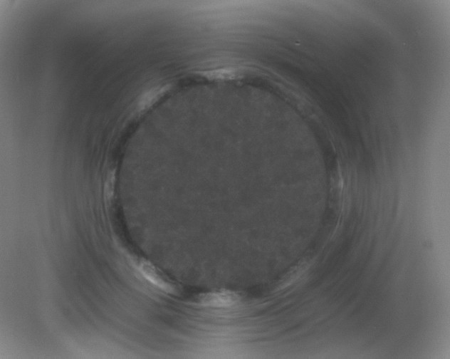 X0000082940652200702011307