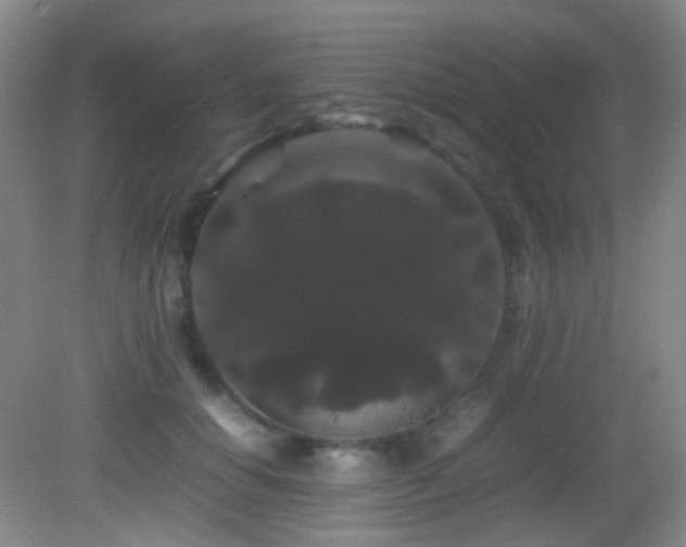 X0000082940654200702011307