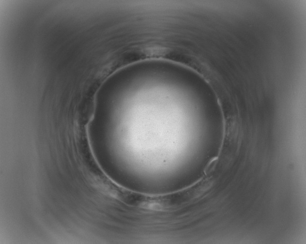 X0000082940655200702011307