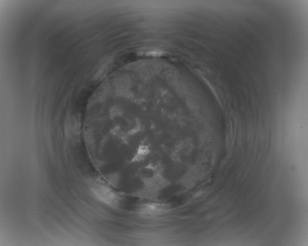 X0000082940657200702011307