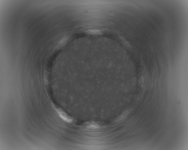 X0000082940658200702011307