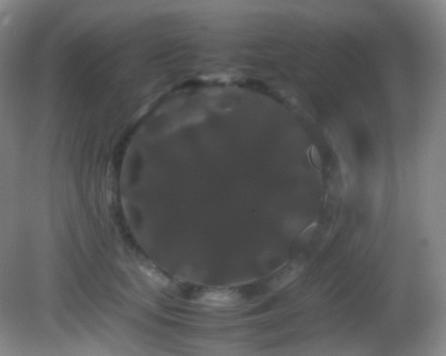 X0000082940659200702011307